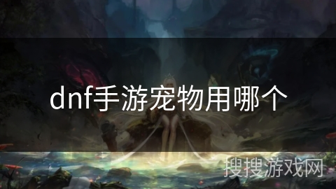 dnf手游宠物用哪个