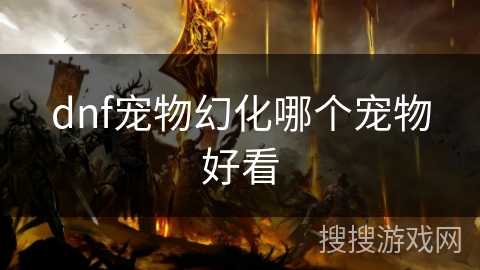 dnf宠物幻化哪个宠物好看