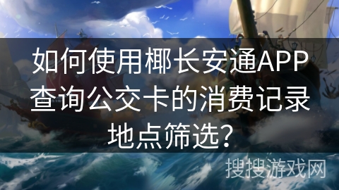 如何使用椰长安通APP查询公交卡的消费记录地点筛选？