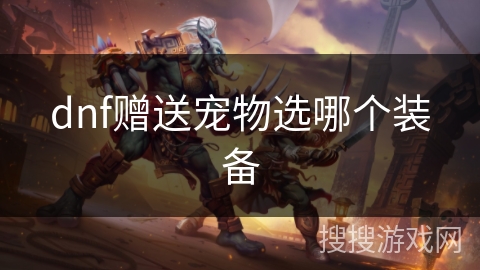 dnf赠送宠物选哪个装备