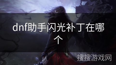 dnf助手闪光补丁在哪个