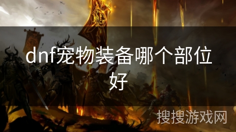 dnf宠物装备哪个部位好