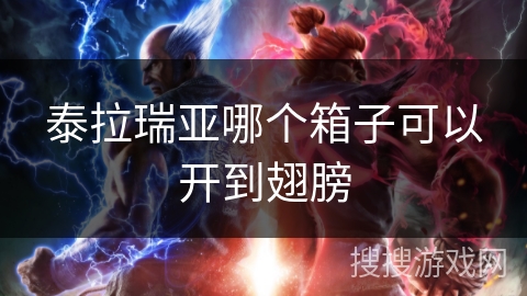 泰拉瑞亚哪个箱子可以开到翅膀