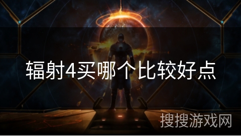 辐射4买哪个比较好点