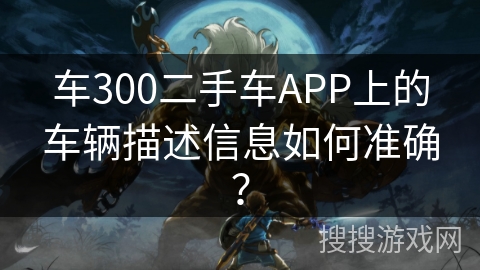 车300二手车APP上的车辆描述信息如何准确？