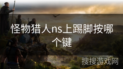 怪物猎人ns上踢脚按哪个键 怪物猎人ns上踢脚按哪个键