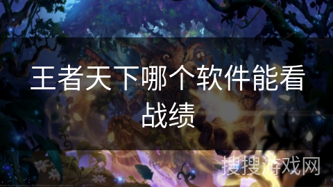 王者天下哪个软件能看战绩 王者天下哪个软件能看战绩