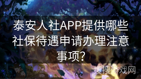 泰安人社APP提供哪些社保待遇申请办理注意事项？