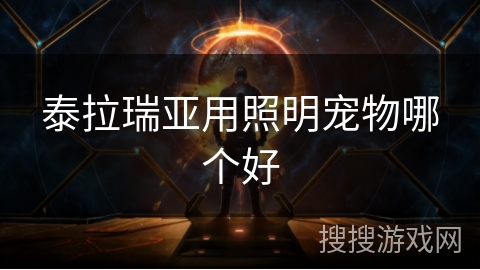 泰拉瑞亚用照明宠物哪个好