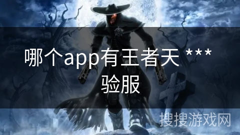 哪个app有王者天 *** 验服