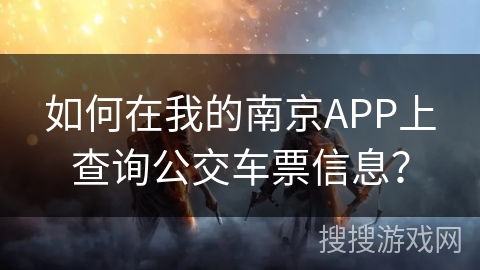 如何在我的南京APP上查询公交车票信息？