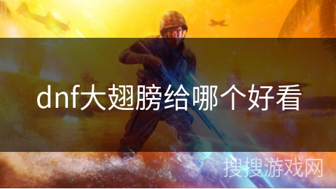 dnf大翅膀给哪个好看