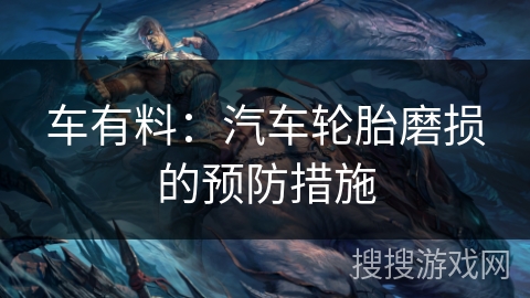 车有料：汽车轮胎磨损的预防措施