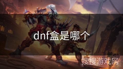dnf盒是哪个
