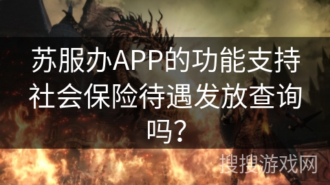 苏服办APP的功能支持社会保险待遇发放查询吗？