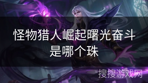 怪物猎人崛起曙光奋斗是哪个珠