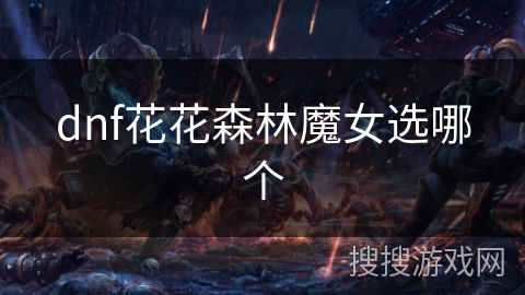 dnf花花森林魔女选哪个