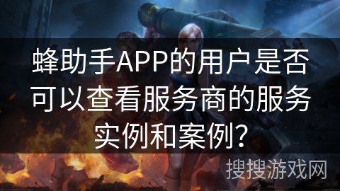 蜂助手APP的用户是否可以查看服务商的服务实例和案例？