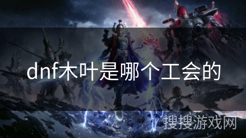 dnf木叶是哪个工会的 dnf木叶是哪个工会的