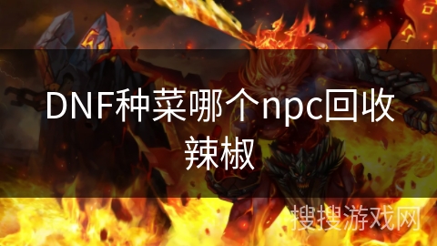 DNF种菜哪个npc回收辣椒