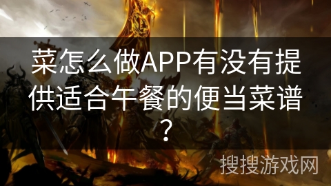 菜怎么做APP有没有提供适合午餐的便当菜谱？