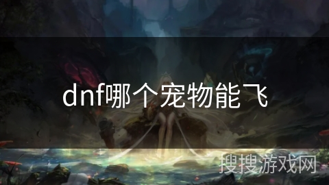 dnf哪个宠物能飞