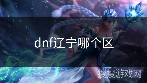 dnf辽宁哪个区