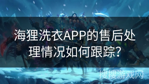 海狸洗衣APP的售后处理情况如何跟踪？
