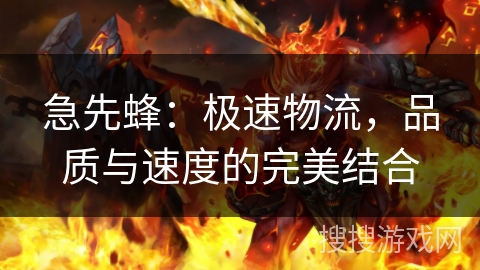 急先蜂：极速物流，品质与速度的完美结合