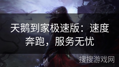 天鹅到家极速版：速度奔跑，服务无忧
