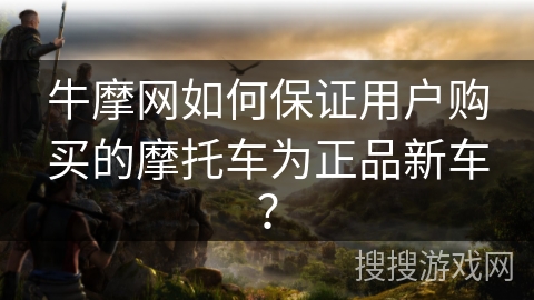 牛摩网如何保证用户购买的摩托车为正品新车？