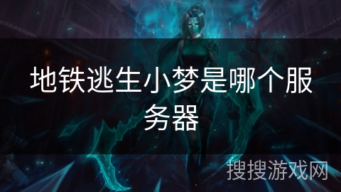 地铁逃生小梦是哪个服务器