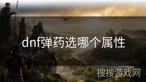dnf弹药选哪个属性