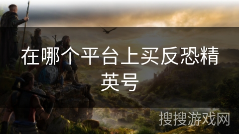 在哪个平台上买反恐精英号 在哪个平台上买反恐精英号
