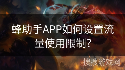 蜂助手APP如何设置流量使用限制？