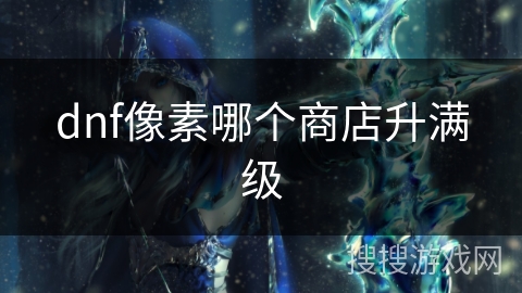 dnf像素哪个商店升满级