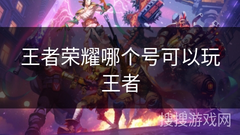 王者荣耀哪个号可以玩王者