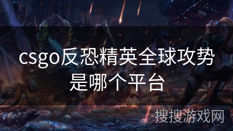 csgo反恐精英全球攻势是哪个平台