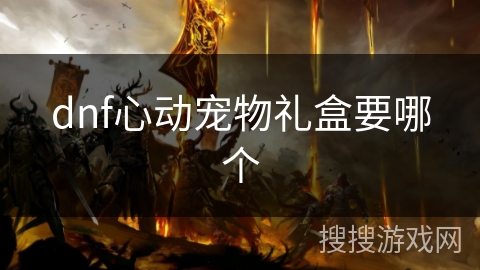 dnf心动宠物礼盒要哪个 dnf心动宠物礼盒要哪个