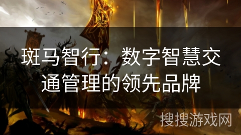 斑马智行：数字智慧交通管理的领先品牌