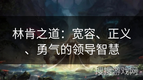 林肯之道：宽容、正义、勇气的领导智慧