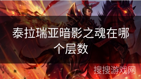 泰拉瑞亚暗影之魂在哪个层数