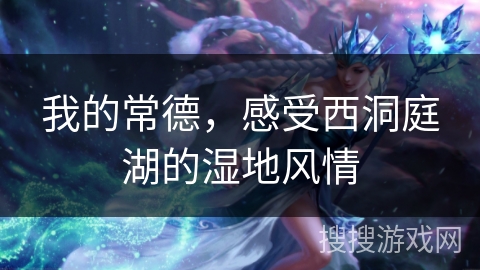 我的常德，感受西洞庭湖的湿地风情