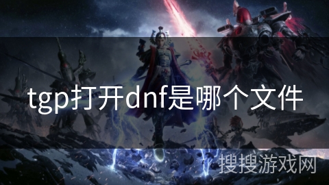 tgp打开dnf是哪个文件