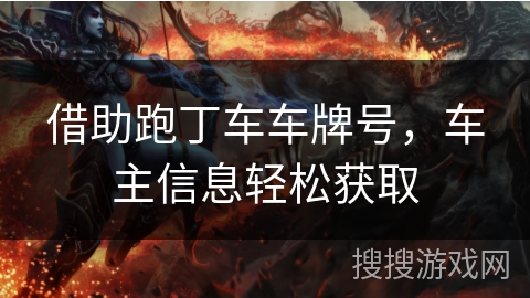 借助跑丁车车牌号，车主信息轻松获取