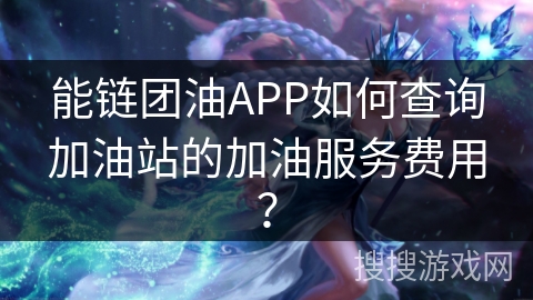 能链团油APP如何查询加油站的加油服务费用？