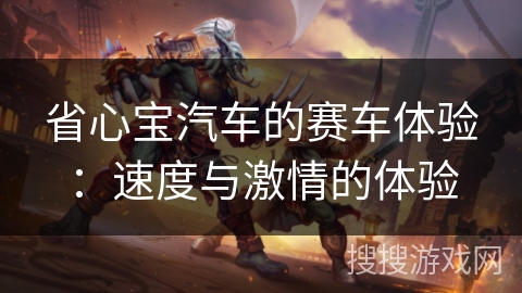 省心宝汽车的赛车体验：速度与激情的体验