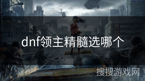 dnf领主精髓选哪个