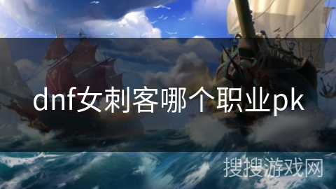 dnf女刺客哪个职业pk