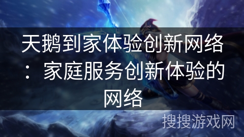 天鹅到家体验创新网络:家庭服务创新体验的网络 天鹅到家体验创新网络:家庭服务创新体验的网络